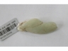 白玉豆荚挂件