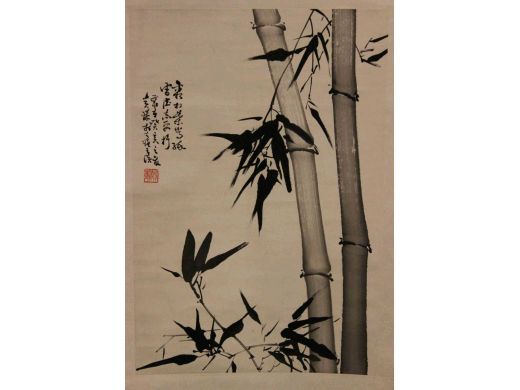 贵臻 竹