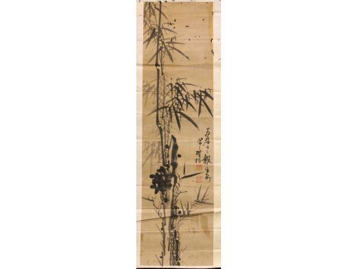 翟栋 竹