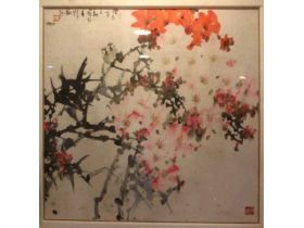 招炽挺 杜鹃