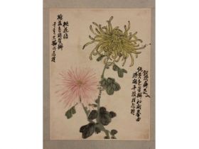 无款 菊
