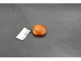 玛瑙蝠