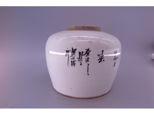 浅绛彩花鸟纹罐