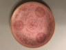 胭脂红花卉盘