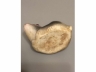 磁塑兔形小水滴