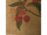 绢本着色花果
