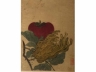 绢本着色福寿双果