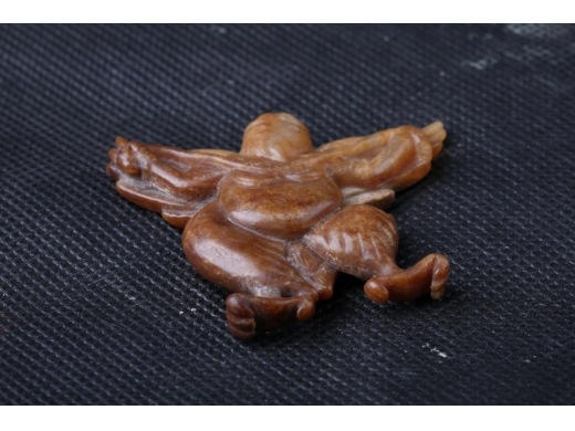 红皮迦楼罗