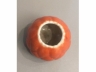 珊瑚紅蓮辨形小水池
