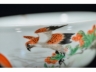 凌云有志 小碗
