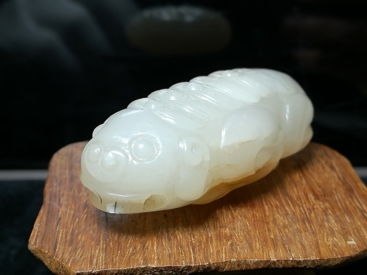 海兽