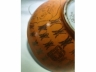 红珊瑚 描金寿字碗