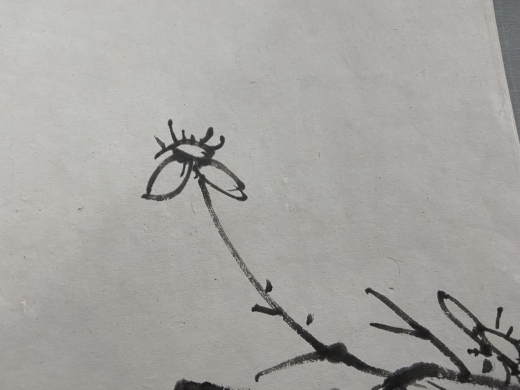 王小摩花卉册页