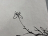 王小摩花卉册页