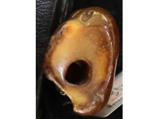 玉猴