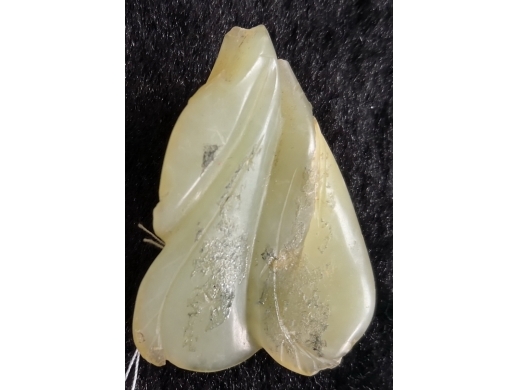 玉豆荚