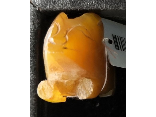 玉兽