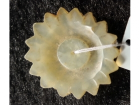 玉珠花