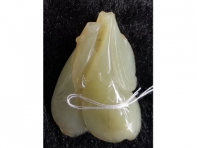 玉豆荚