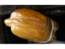 玉兽