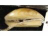 玉如意簪头