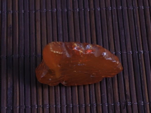 琥珀鸟