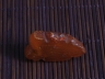 琥珀鸟
