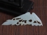 玉凤