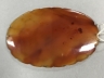 玛瑙花