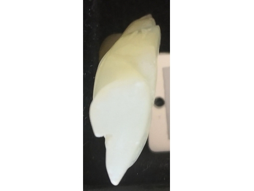 白玉童子