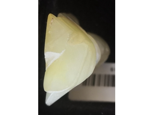 白玉童子