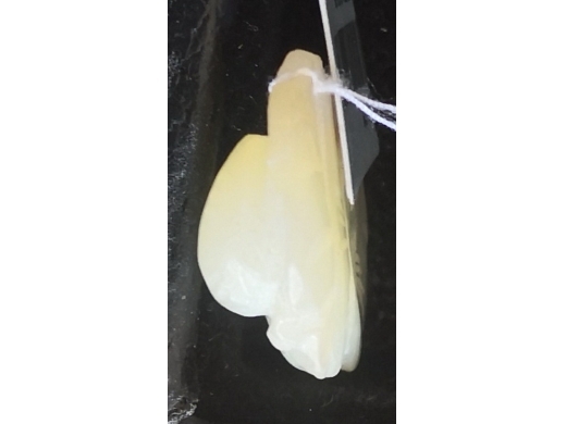 白玉童子