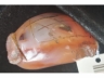 玛瑙瓜果件