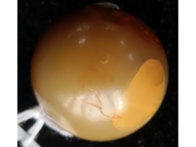 玉珠子