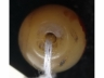 玉勒子