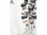 田登五《战地黄花分外香（带框)  菊花》