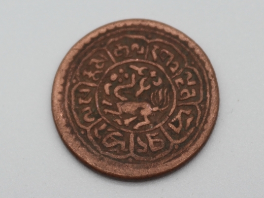 藏币（横雪岗）