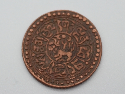 藏币（竖雪岗）