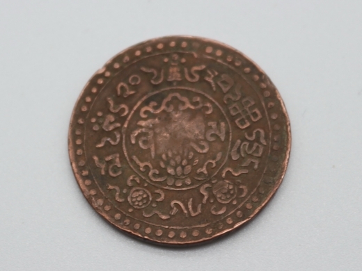 藏币（雪松）