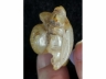 玉童子