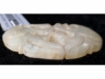 花卉纹白玉饰件