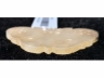 蝴蝶白玉饰件