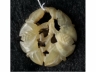玉花卉纹挂饰
