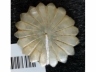 白玉珠花佩