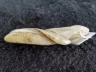 白玉豆荚坠