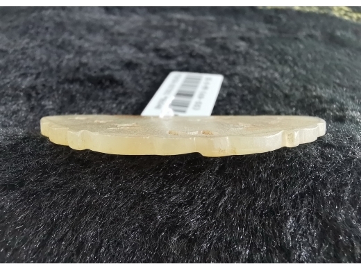 白玉蝴蝶