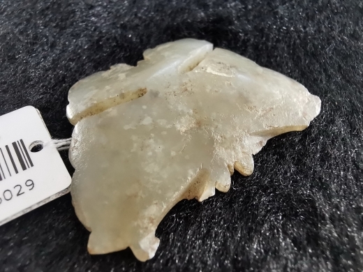 白玉蝴蝶