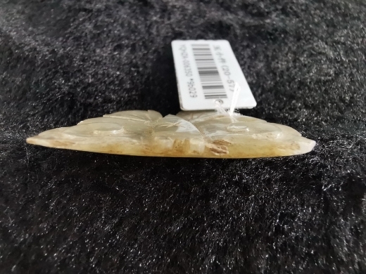 白玉蝴蝶