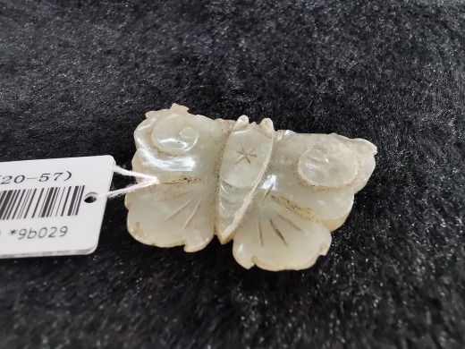 白玉蝴蝶