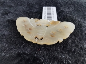 白玉蝴蝶